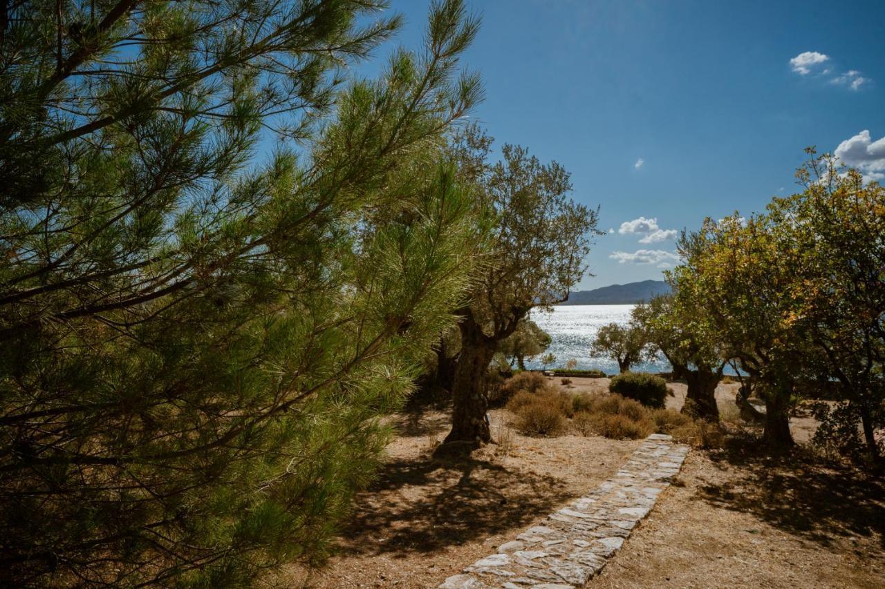 Traditional Architecture Seafront Stone House In 25000Sqm Olive Grove - C Villa Alyfanta Bagian luar foto