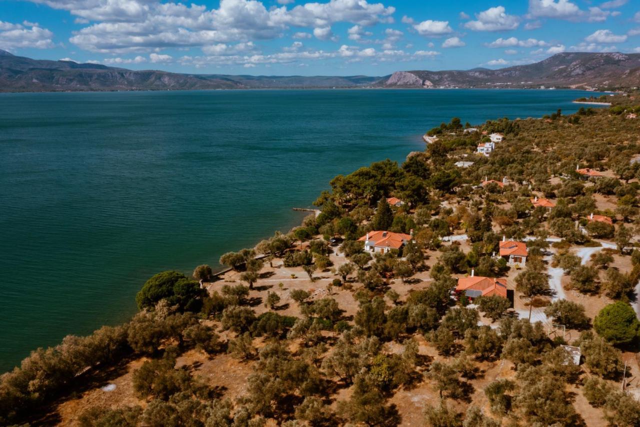 Traditional Architecture Seafront Stone House In 25000Sqm Olive Grove - C Villa Alyfanta Bagian luar foto